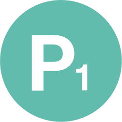 P1