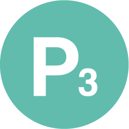 P3