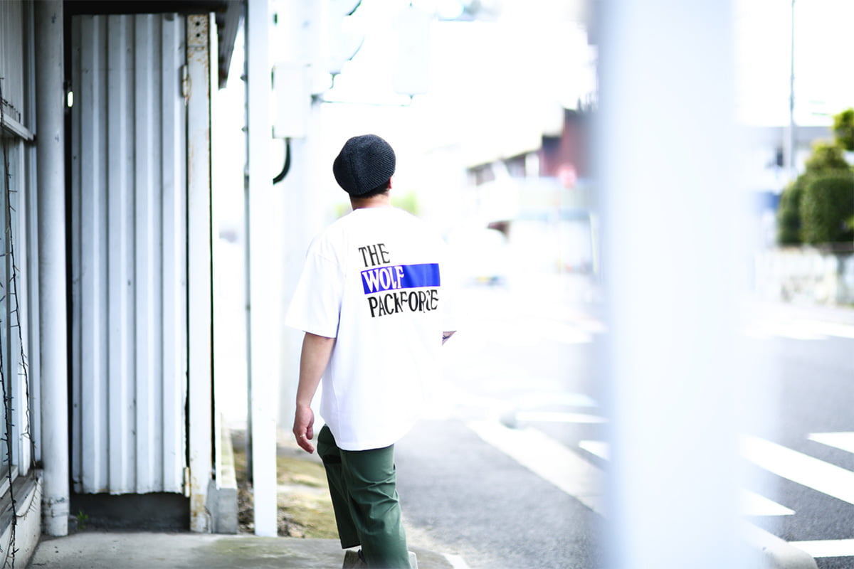 WP スタイリング画像