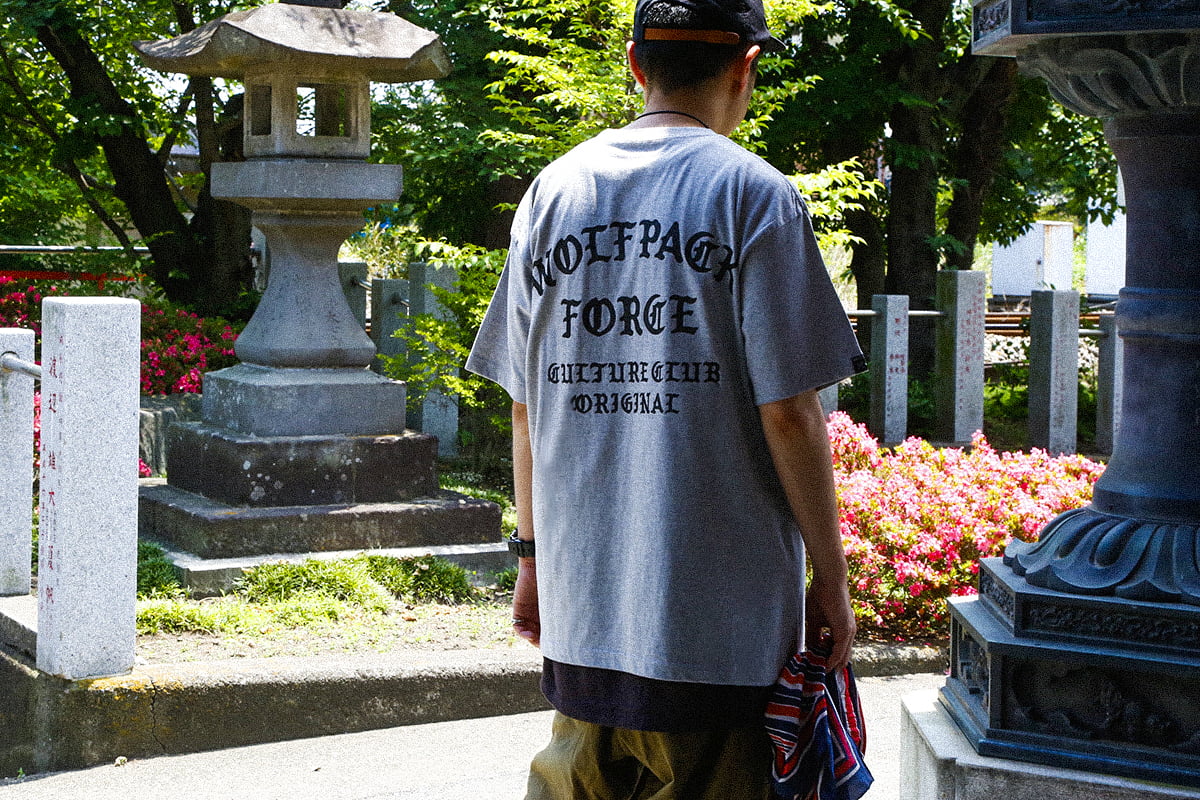 WP スタイリング画像
