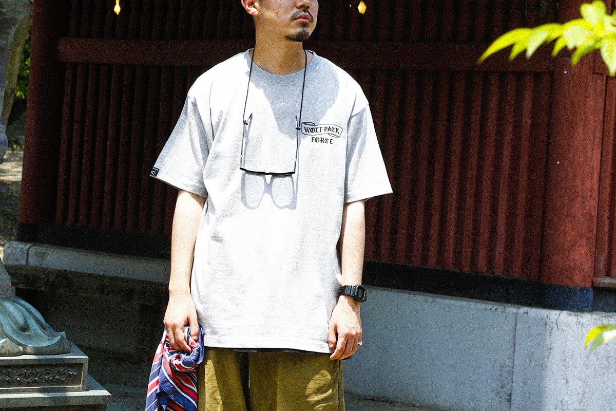 WP スタイリング画像