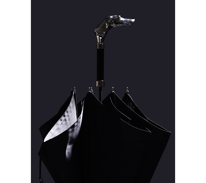 FOX UMBRELLAS / Father's Day