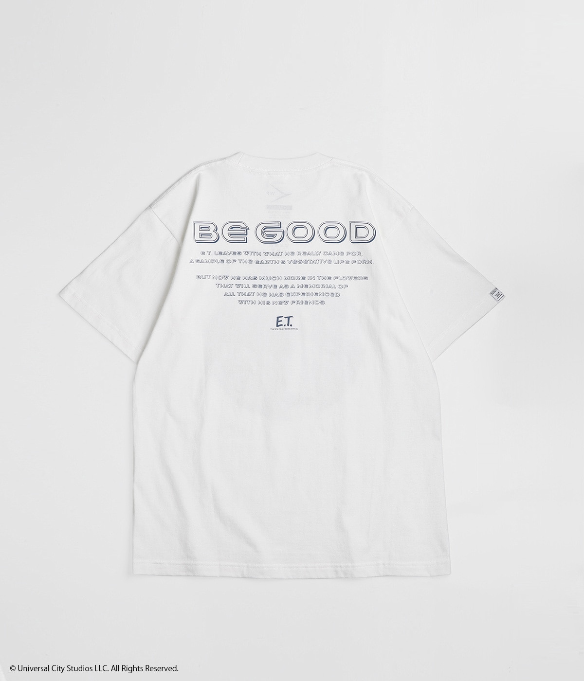 WP 02