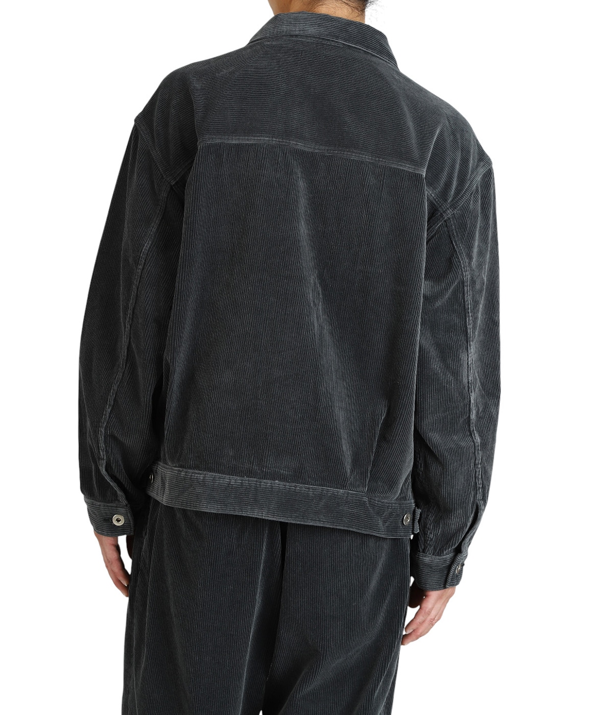 model(175cm / 60kg)B85 W75 H92 着用サイズ：L(48)