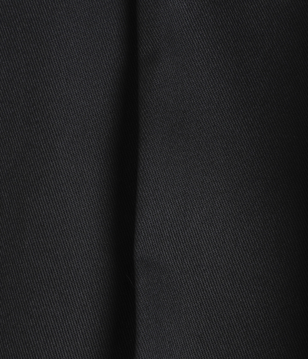 DICKIES / PLEATED TROUSERS | WACKO MARIA(ワコマリア