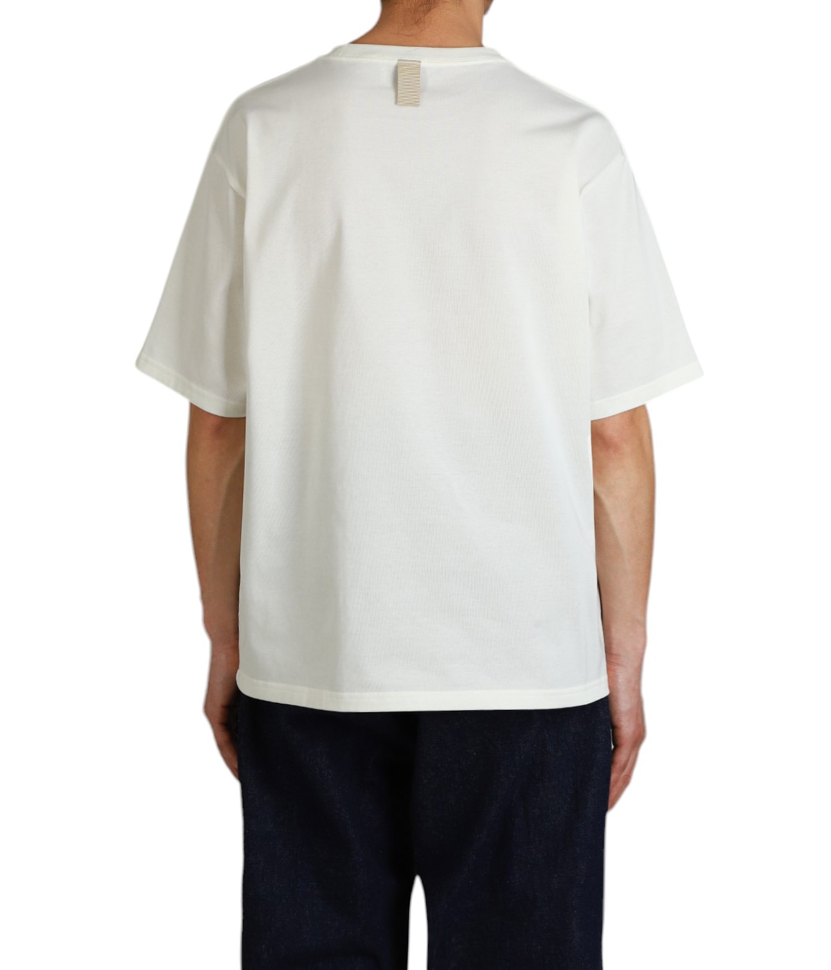 T Shirt | cantate(カンタータ) / トップス カットソー半袖・T