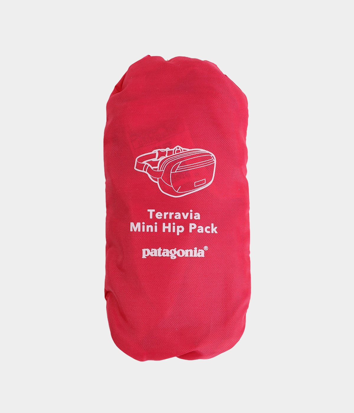 Terravia Mini Hip Pack | patagonia(パタゴニア) / バッグ ショルダー