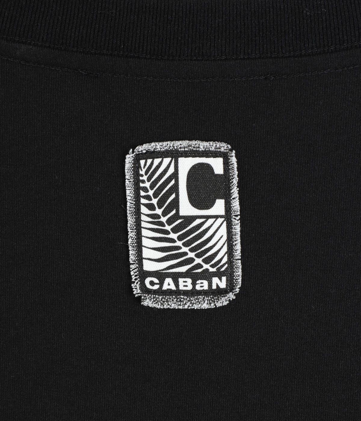 【CABaN/キャバン】ドライスビンコットン ハーフスリーブTシャツ BPF01_39_39033103003_6100?$