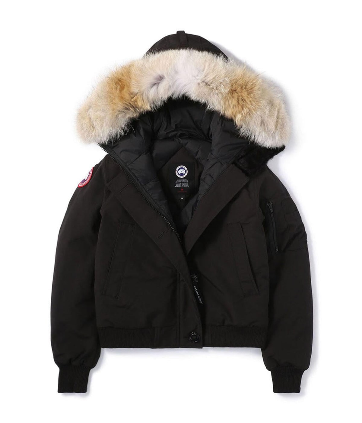 レディース】【CLASSIC DISC】Labrador Bomber Heritage