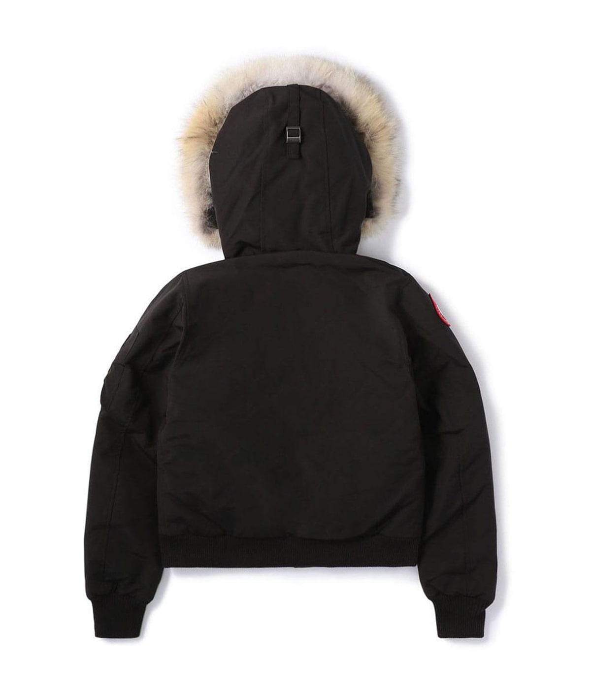 レディース】【CLASSIC DISC】Labrador Bomber Heritage