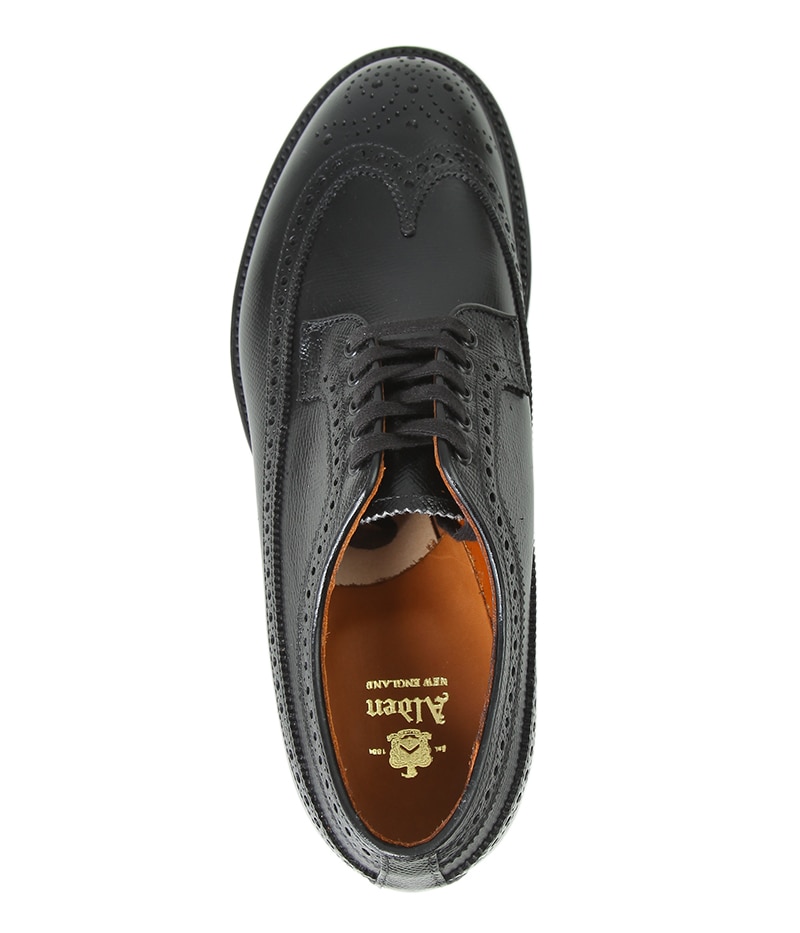 オールデン　プレーントゥ　カーフ　バリーラスト　ALDEN Alden Calf Plain Toe（オールデン カーフ プレーントゥ）バリー