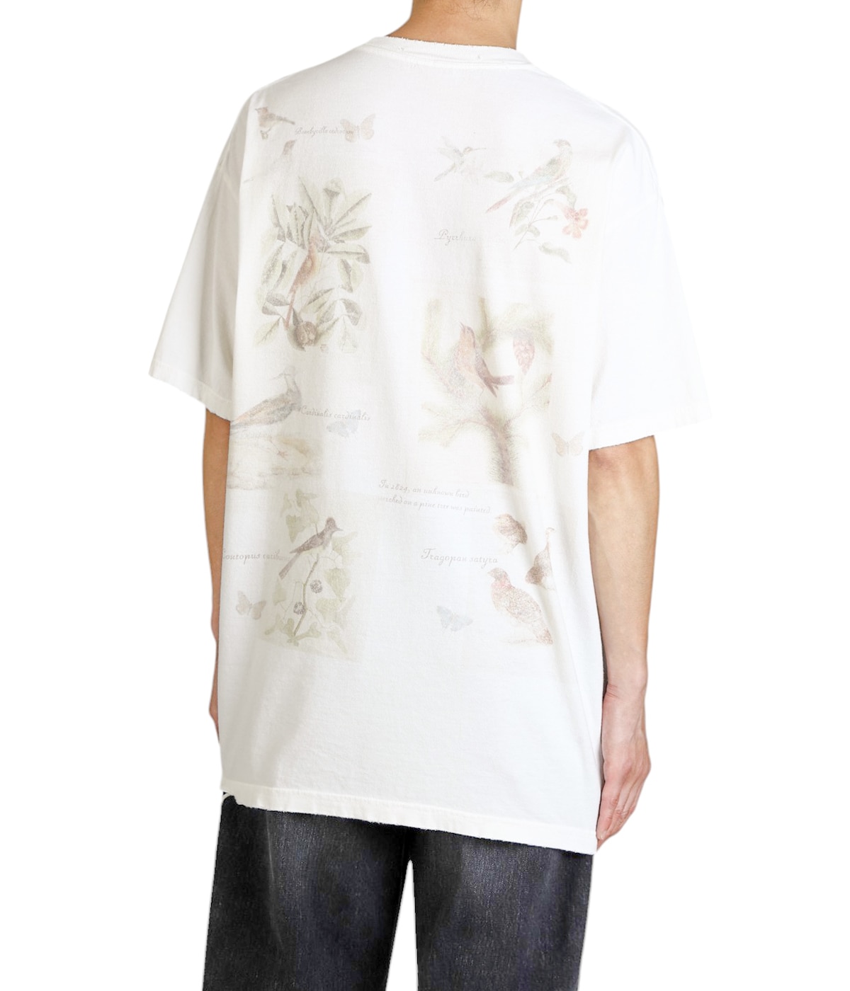 BIRD ENCYCLOPEDIA T-SHIRT | ANCELLM(アンセルム) / トップス