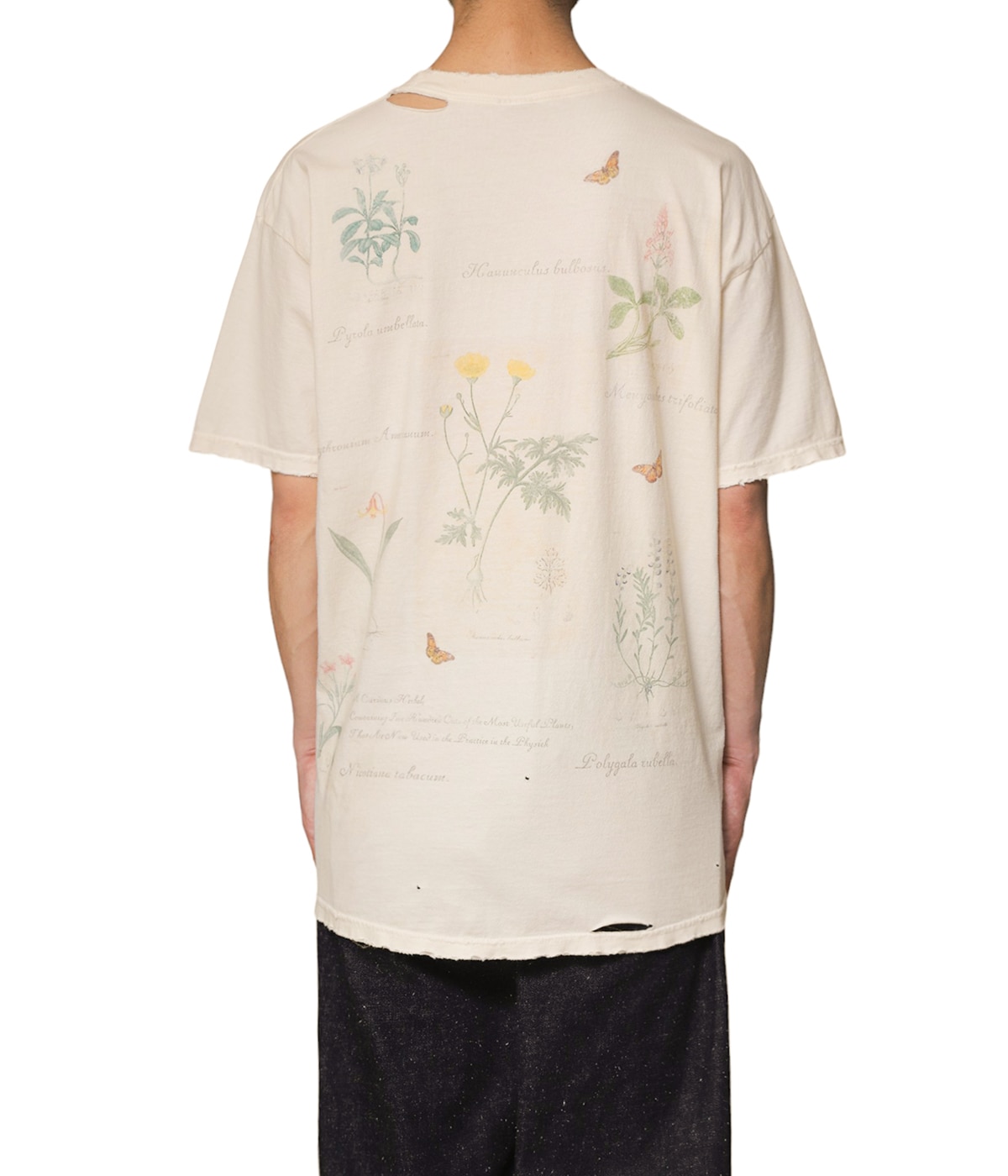 【関税込み】GOES BOTANICAL T-SHIRT COSTINA M/C FINEZZA 18/30 8051979469161-1_grande.jpg?v=