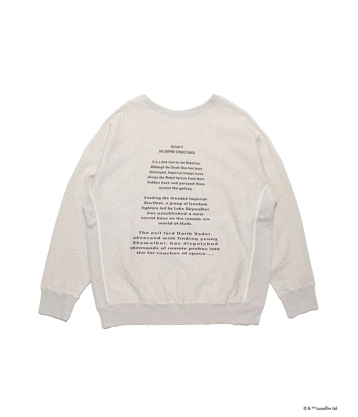 DARTH VADER SWEATSHIRTS | BOW WOW(バウワウ) / トップス
