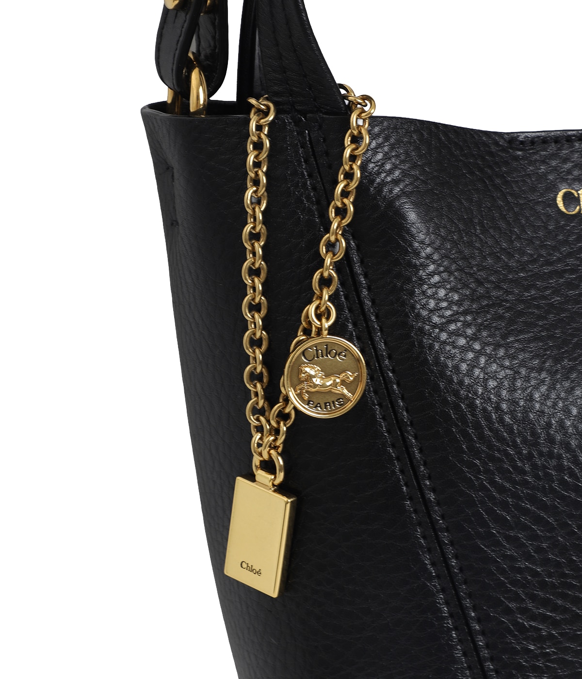 【レア@2880】クロエ(多頭) Chlo'e (クロエ) CHC20WS362C6224Q ダリアミニチェーンバッグ レザー