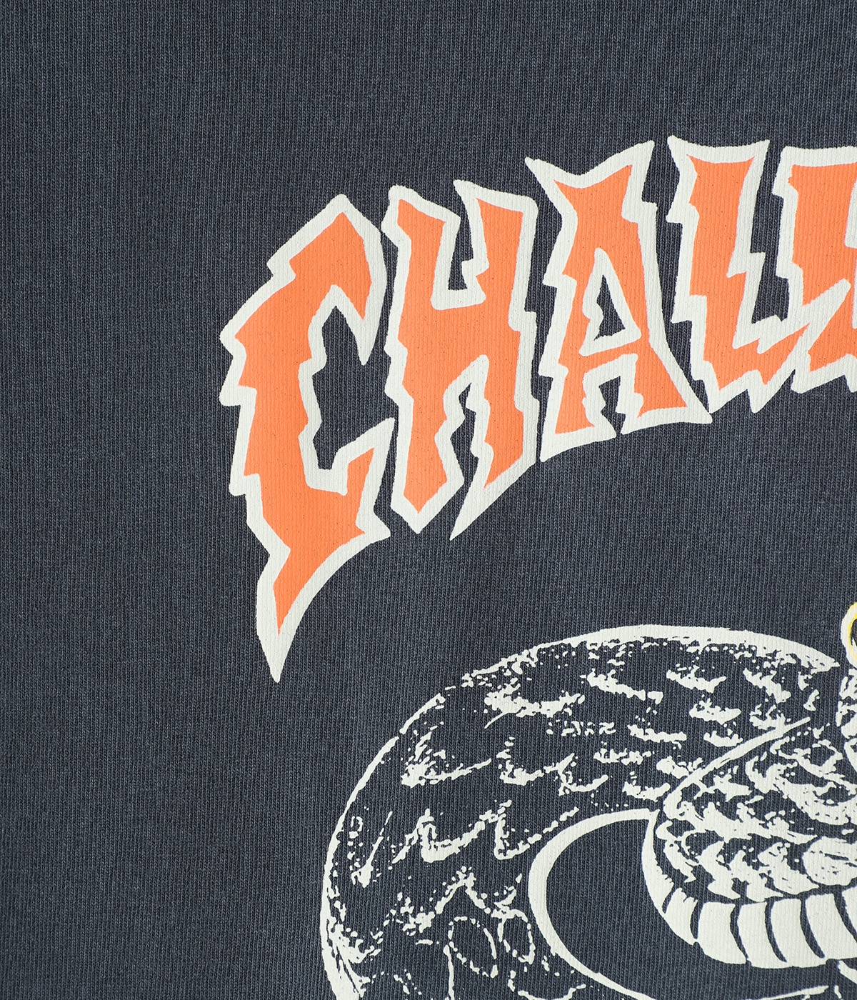 PIGMENT SNAKE TEE | CHALLENGER(チャレンジャー) / トップス