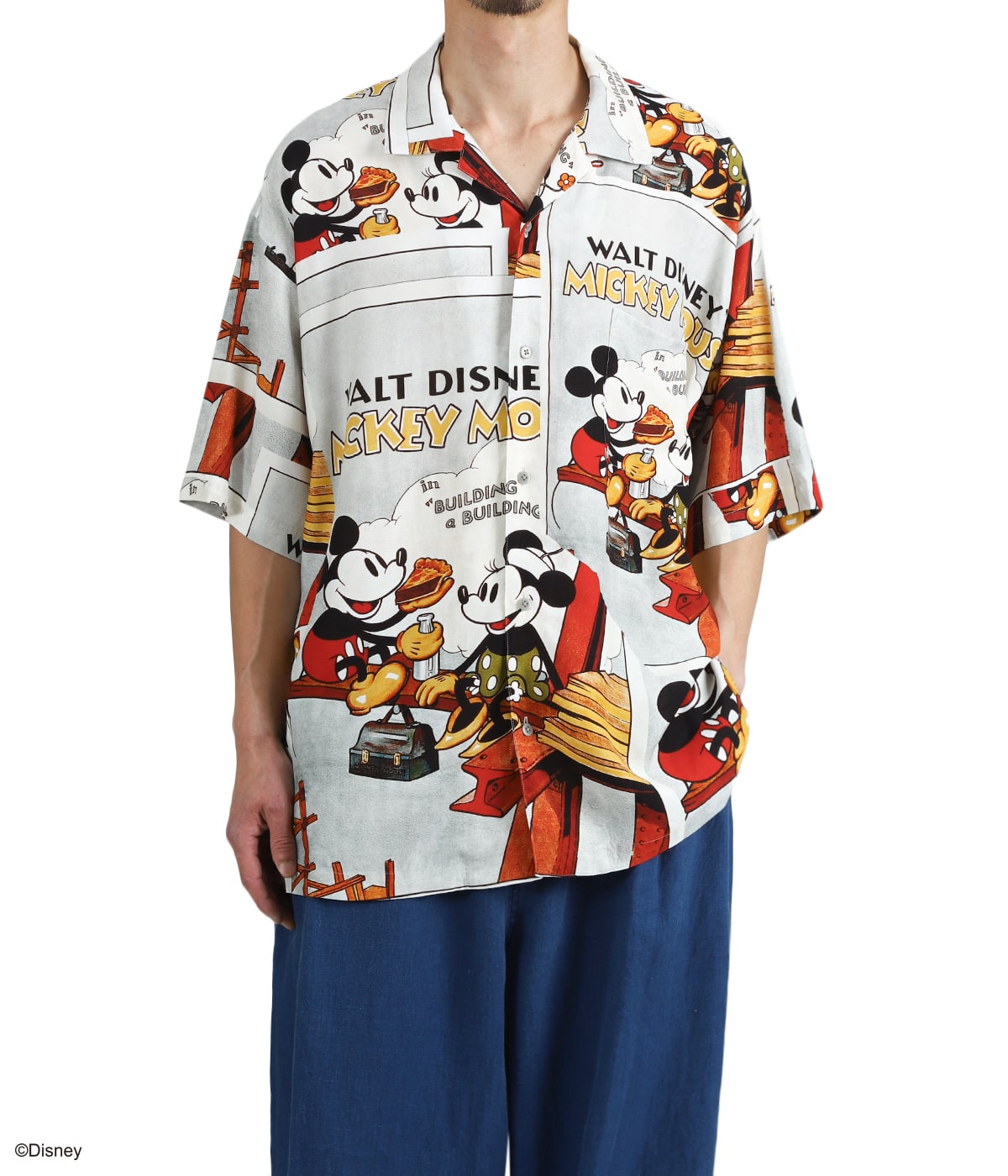 DISNEY VP / PC ALOHA COLLECTION ALOHA SHIRT / MICKEY & MINNIE 