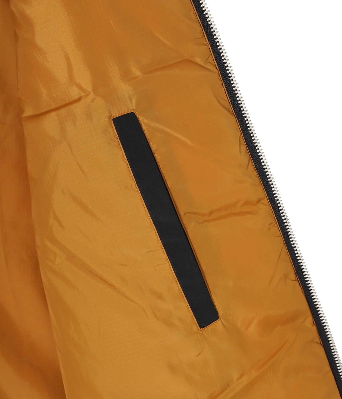 Downlight Canadian Vest | Eddie Bauer Black Tag Collection