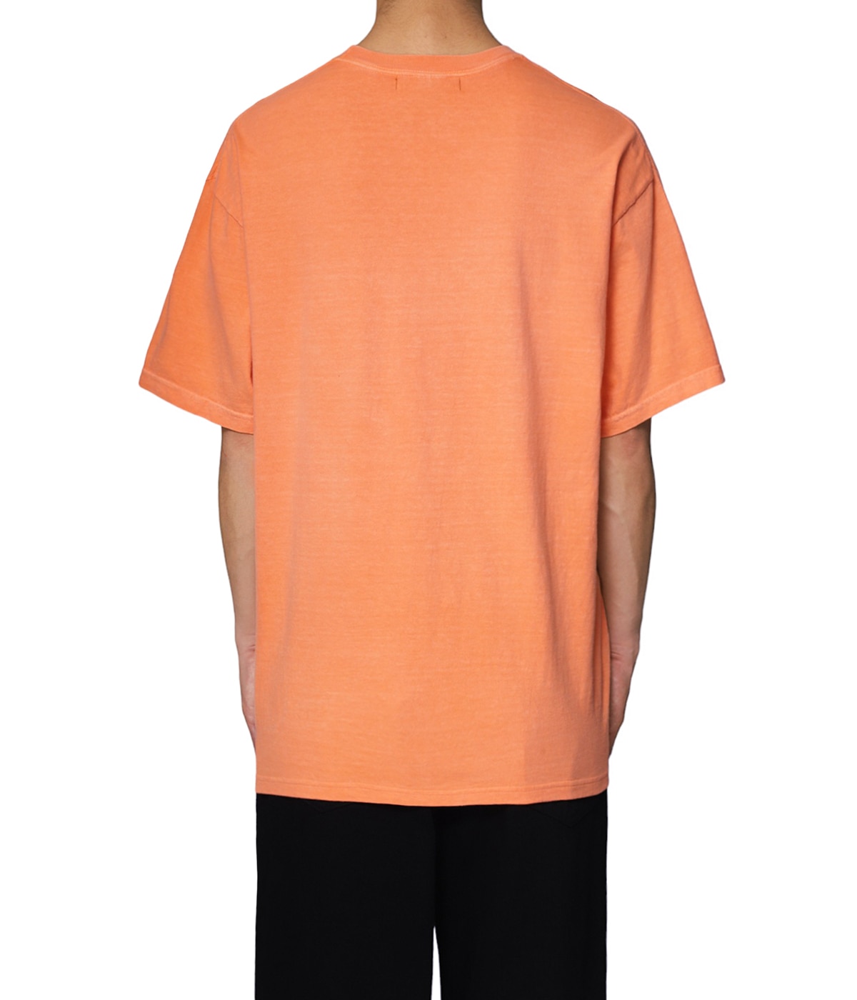 PIGMENT S/S T-SHIRT | ESSAY(エッセイ) / トップス カットソー