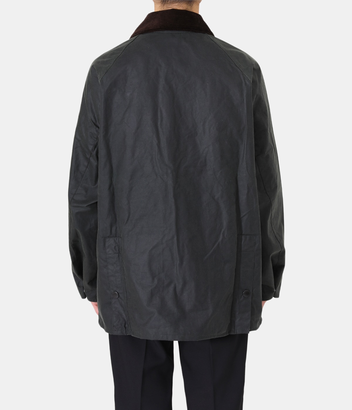 model（175cm / 60kg）B85 W75 H92 着用サイズ：38