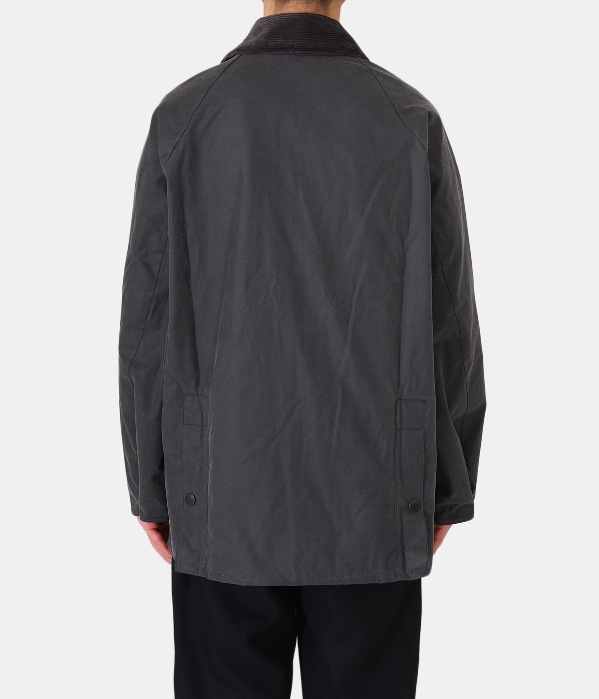 model（175cm / 60kg）B85 W75 H92 着用サイズ：38