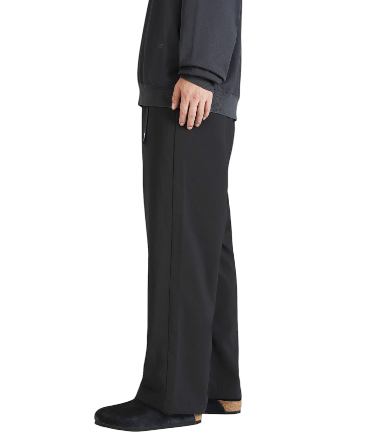 Polyester Tropical Field Work Pants | THE NORTH FACE PURPLE