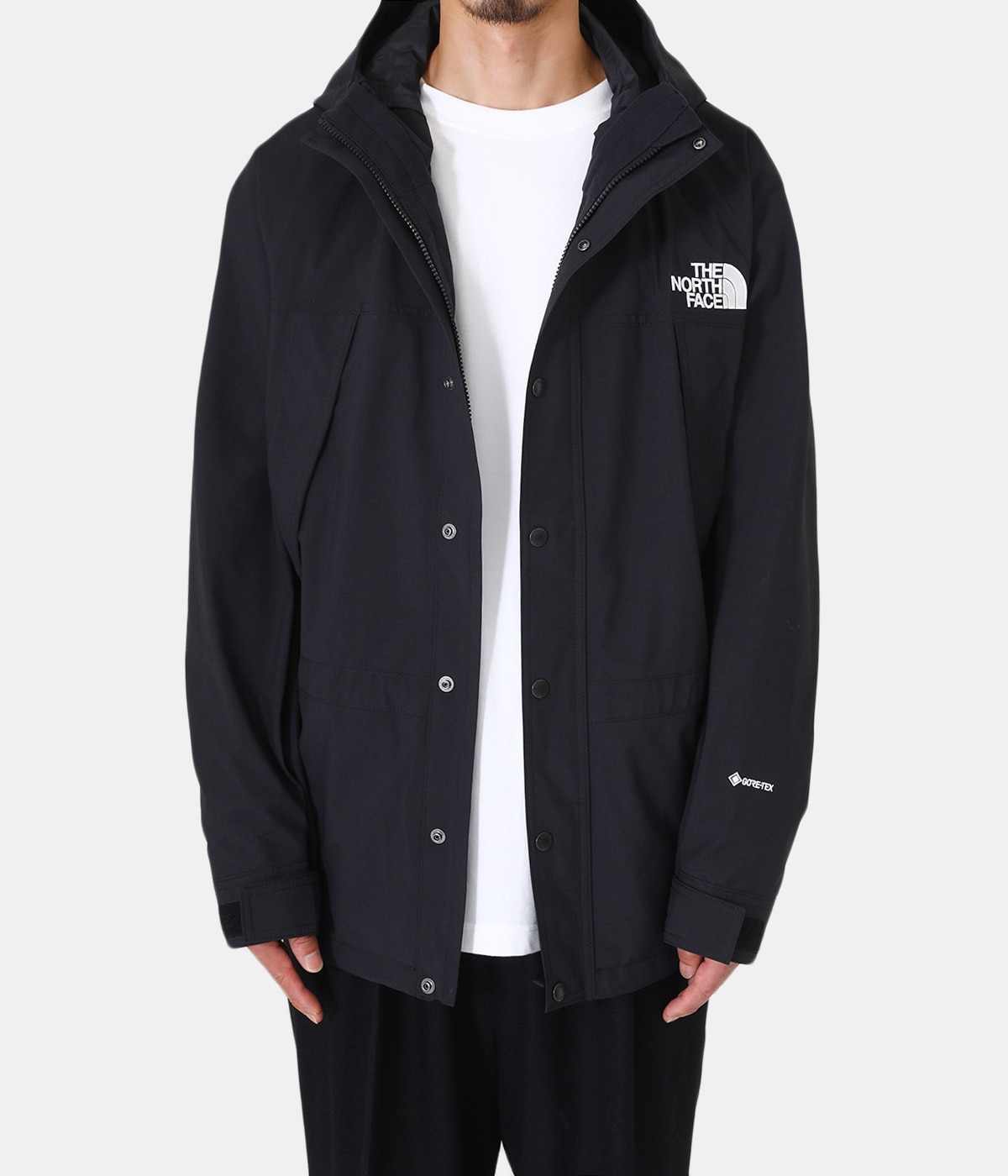 ノースフェイス　ジャケット　Ｌ THE NORTH FACE Novelty Mountain Light Jacket TNFライトニング