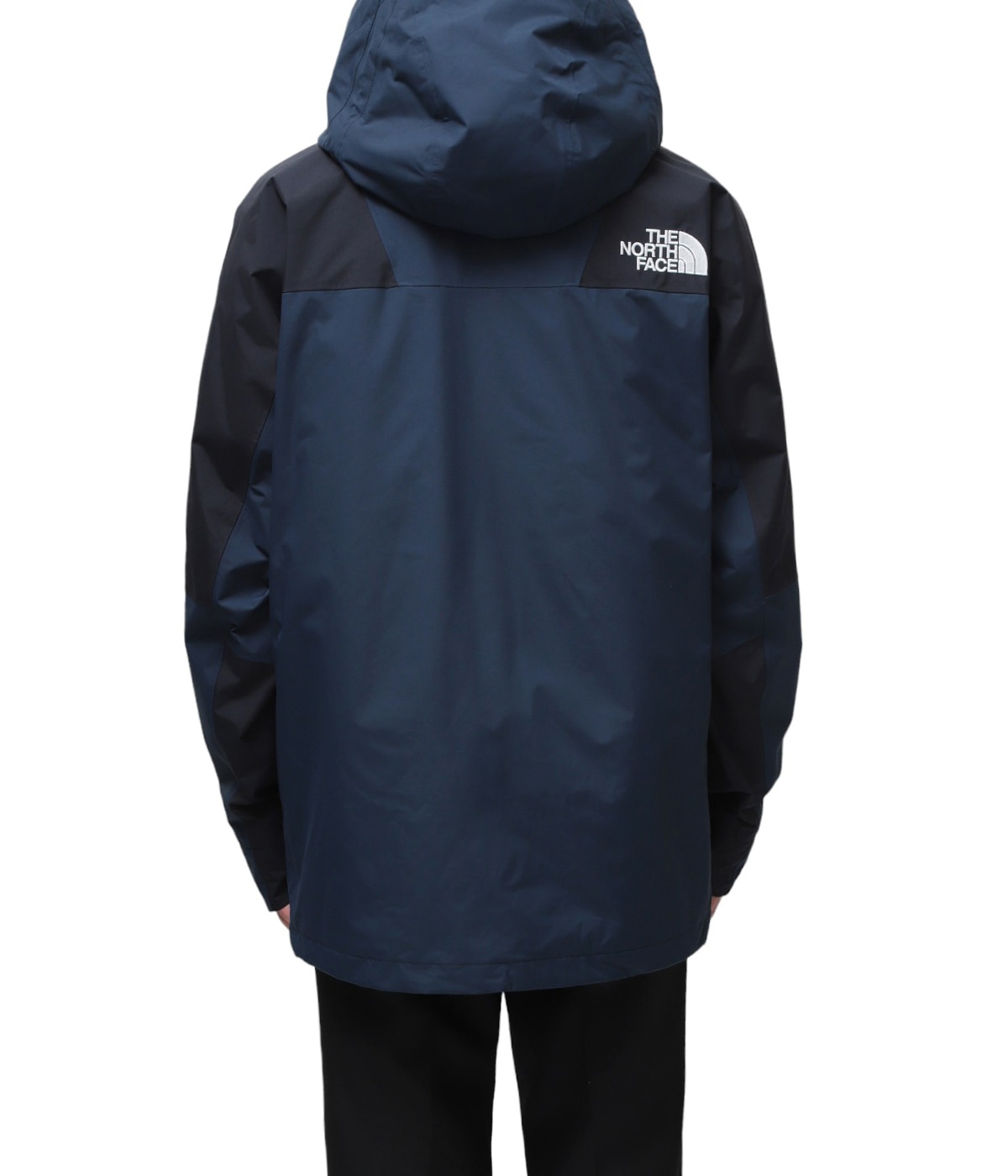 model（175cm / 60kg）B85 W75 H92 着用サイズ：L