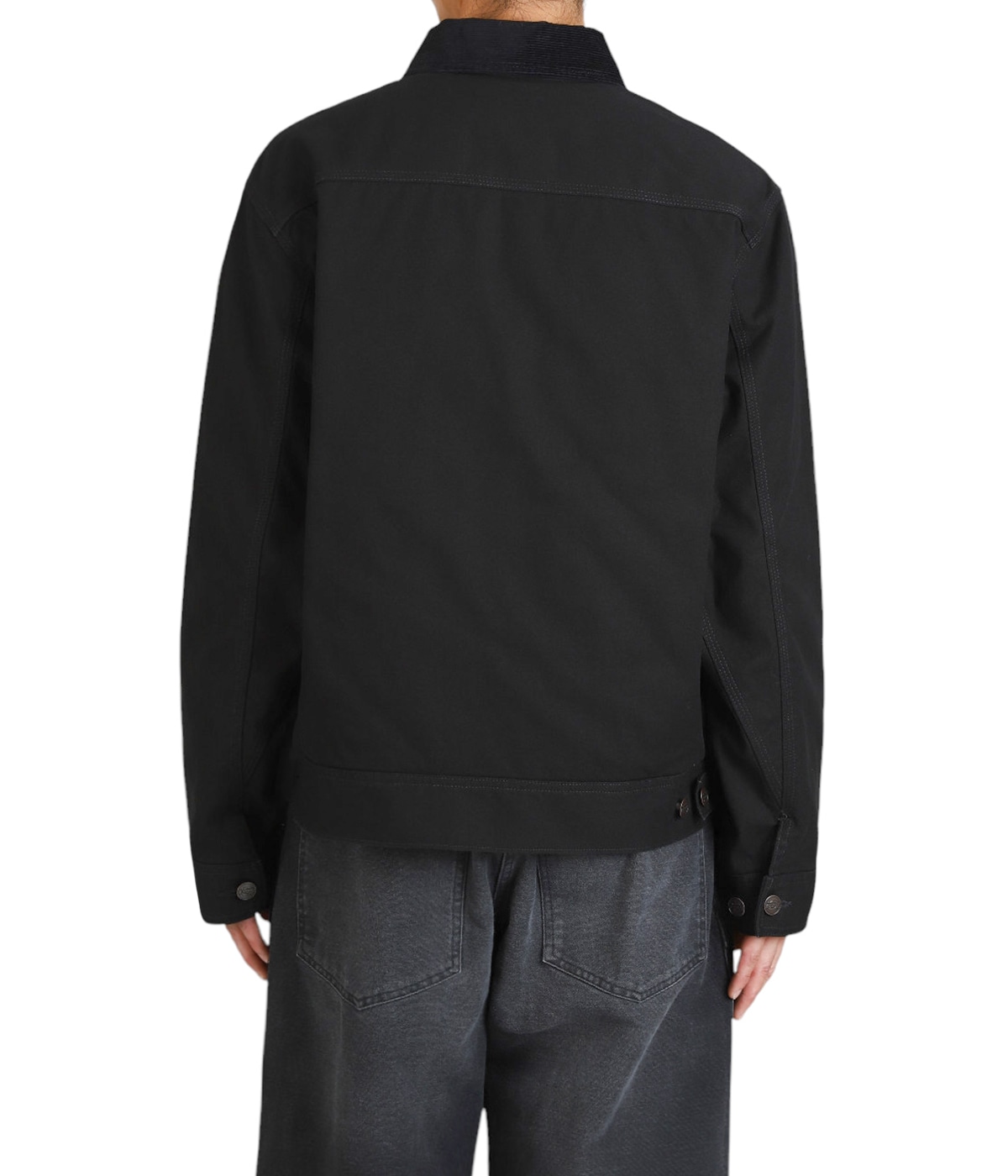 model(175cm / 60kg)B85 W75 H92 着用サイズ：L