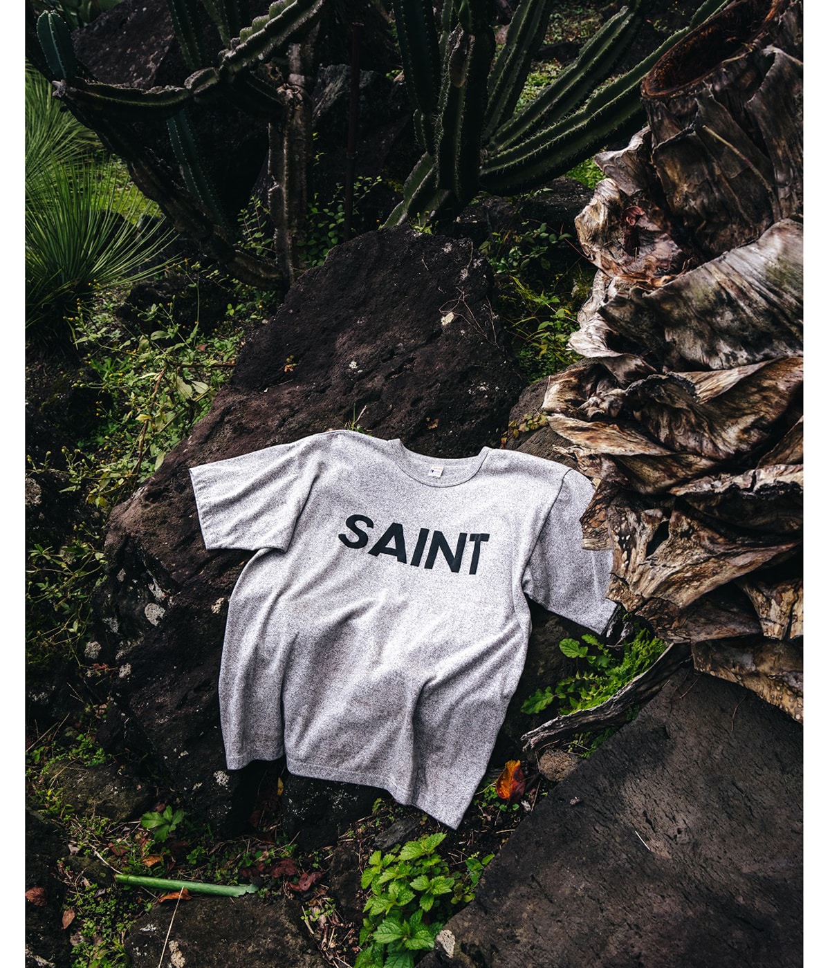 SAINT Mxxxxxx セントマイケル　tee SS TEE/DEVIL DADDY | SAINT Mxxxxxx(セント マイケル