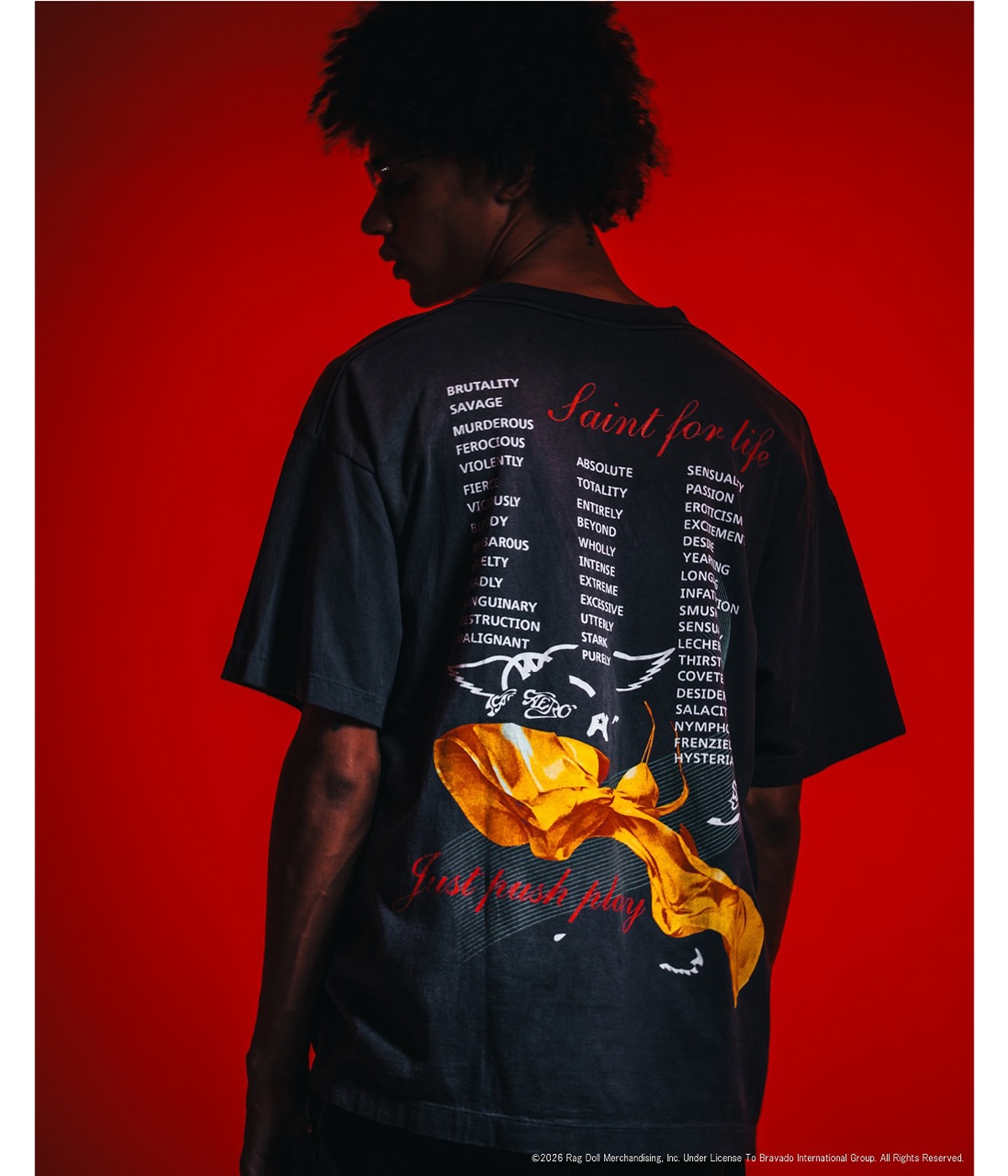 AS_SS T-SHIRT/AEROSMITH | SAINT Mxxxxxx(セント マイケル 