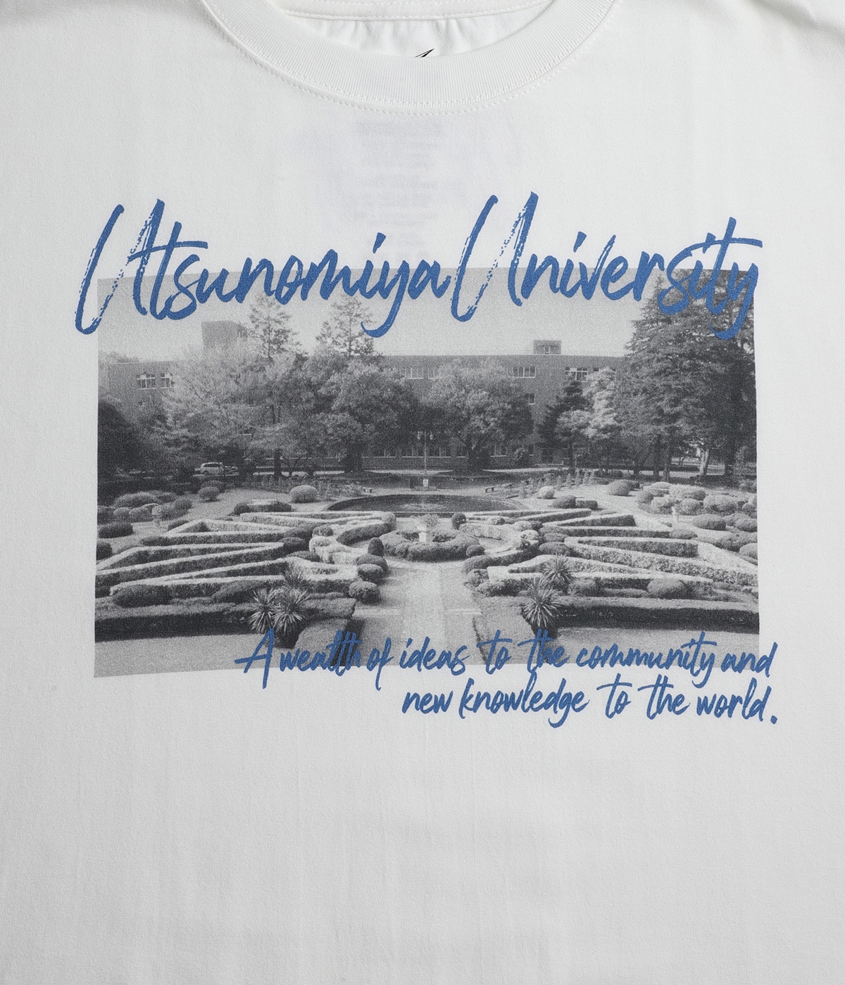 ONLY ARK】宇都宮大学×ARKnets フランス式庭園フォトTシャツ | WP 