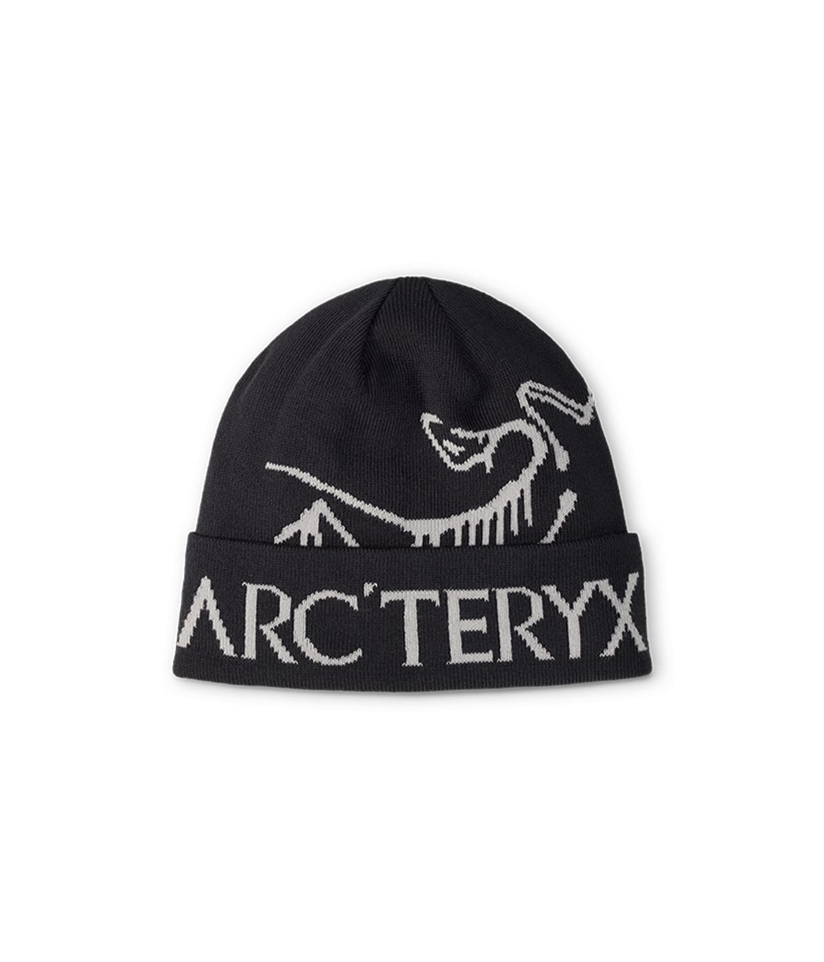 Bird Word Toque | ARC'TERYX(アークテリクス) / 帽子 ニット