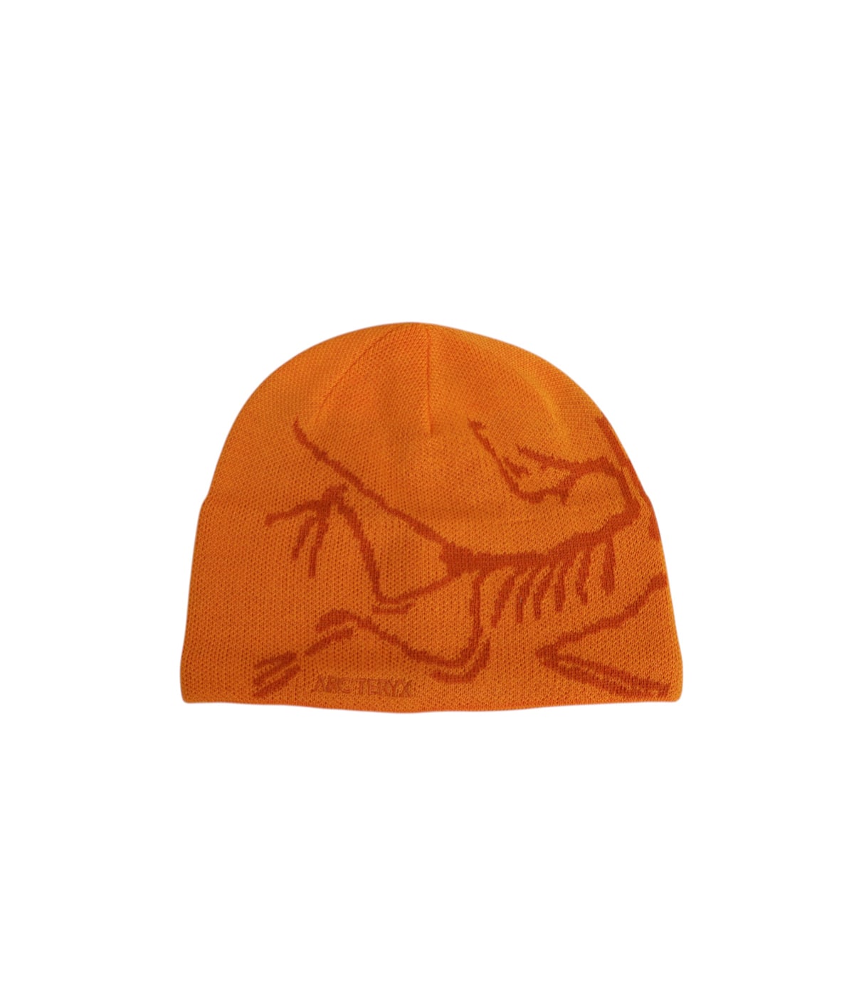 Bird Head Toque | ARC'TERYX(アークテリクス) / 帽子 ニット