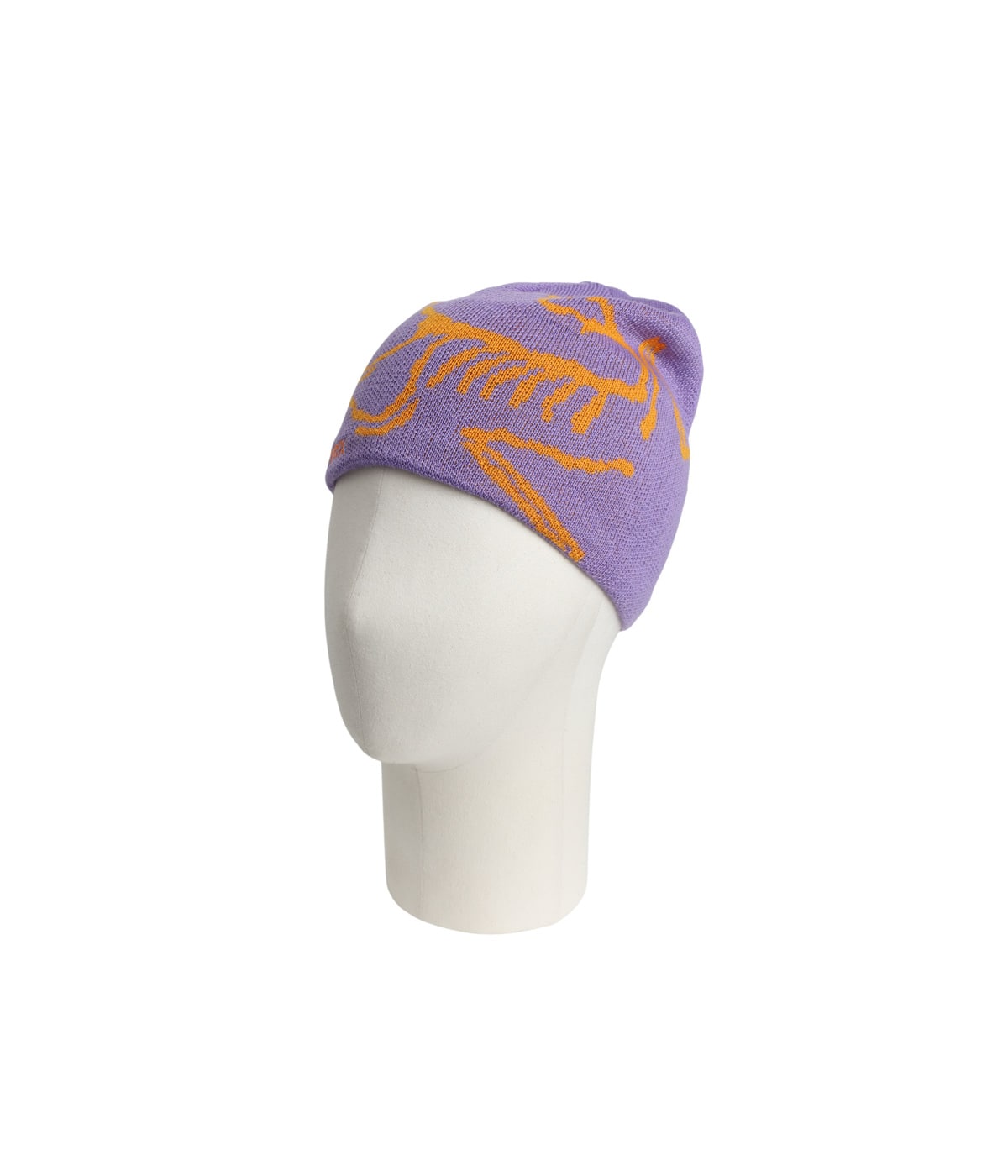 Bird Head Toque (エクスクルーシブモデル) | ARC'TERYX