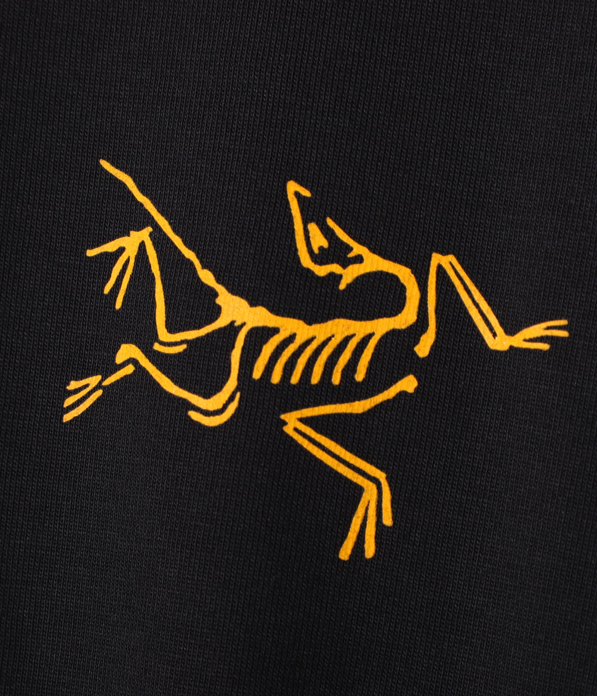 Arc'Multi Bird Logo SS M | ARC'TERYX(アークテリクス