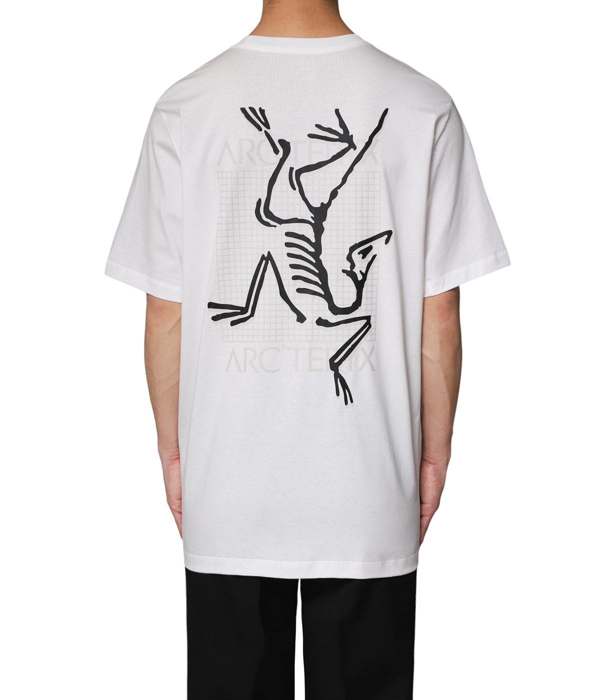 アークテリクス　ティーマクロップド　バードロゴ　Mサイズ Arc'Multi Bird Logo LS M | ARC'TERYX(アークテリクス