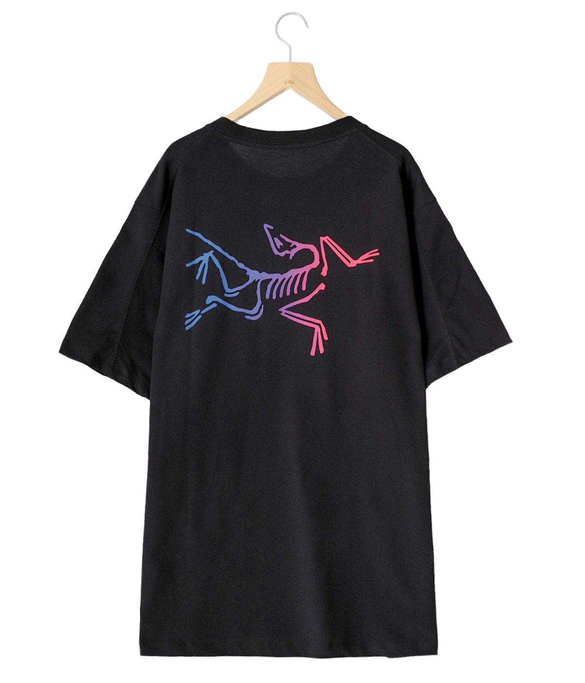 ARC'TERYX リンガーTシャツ y2k opium ゴープコア tech Kragg Cotton Logo SS M | ARC'TERYX(アークテリクス