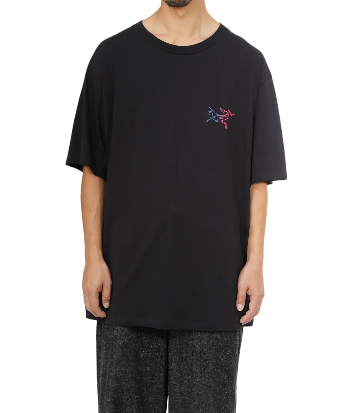 ◆S-DOUBLE◆Coat of Arms ロゴ入り グラフィック 半袖 Tシャツ Kragg Cotton Logo SS M | ARC'TERYX(アークテリクス