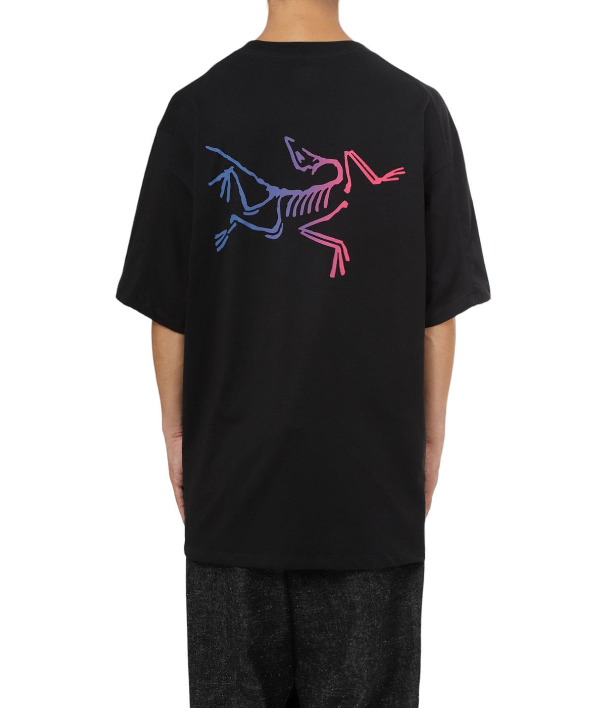 ◆S-DOUBLE◆Coat of Arms ロゴ入り グラフィック 半袖 Tシャツ Kragg Cotton Logo SS M | ARC'TERYX(アークテリクス