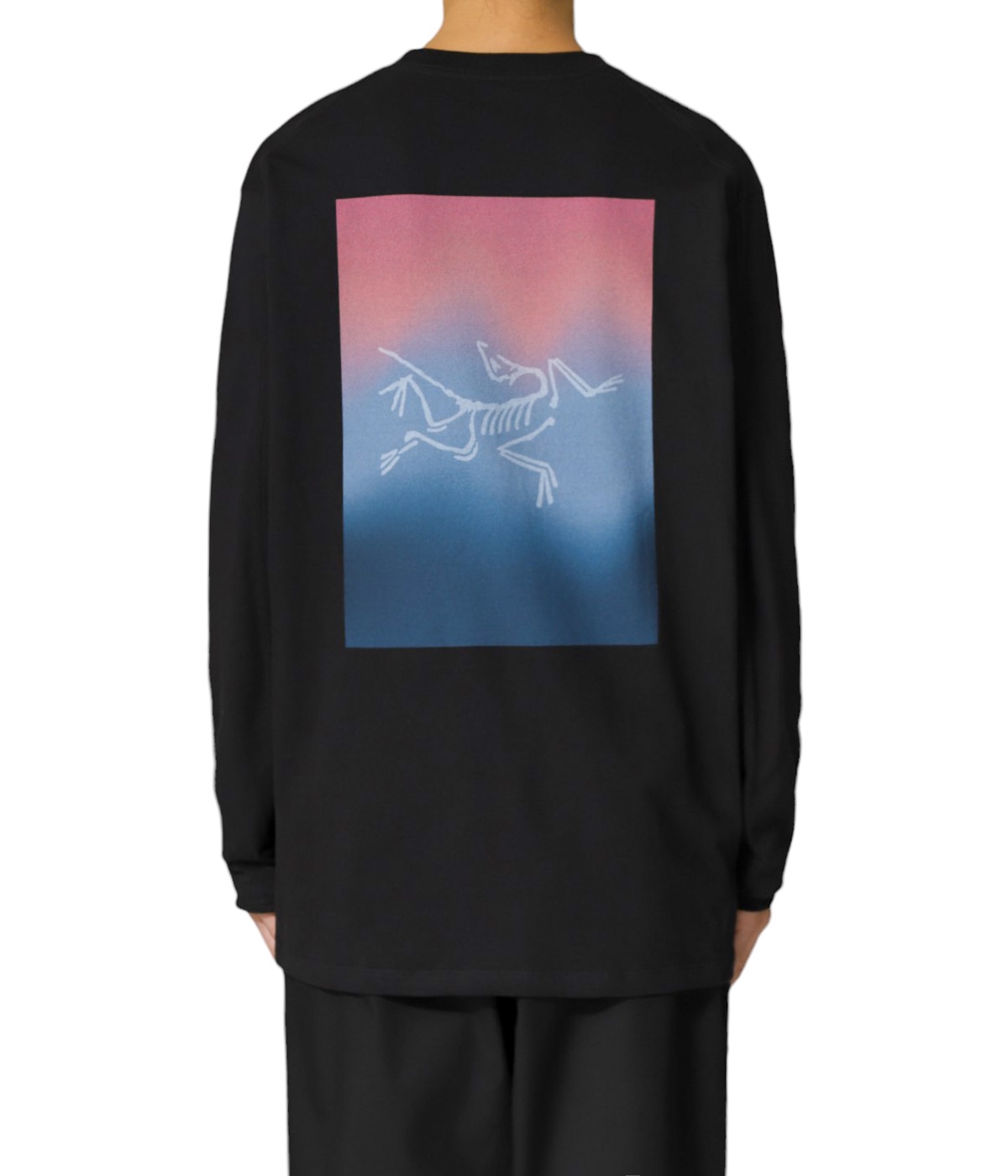 Kragg Cotton Heatmap LS M | ARC'TERYX(アークテリクス