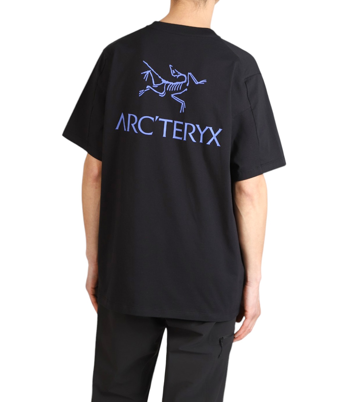 Kragg SL Cotton Bird Word SS M | ARC'TERYX(アークテリクス