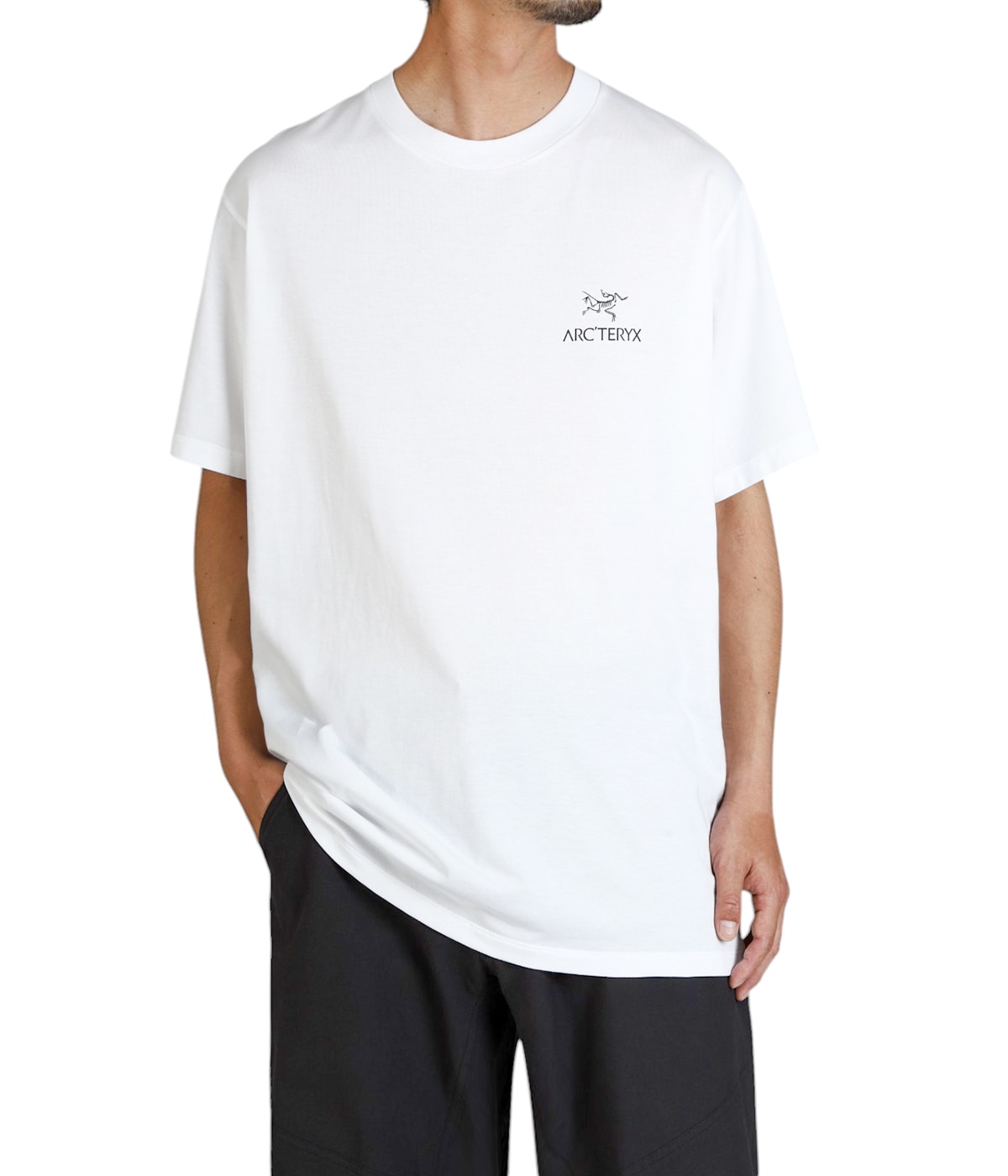 ★【ARC`TERYX】 クラッグ スフィマ バード ワード SSマン★ ARC'TERYX / Kragg SL Cotton Bird Word SS M - W/