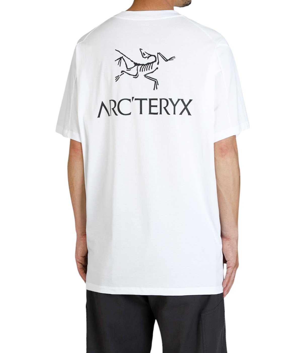 【ARC`TERYX】 KRAGG SUPIMA COTTON BIRD WORD SS M ARC'TERYX / Kragg SL Cotton Bird Word SS M - W/