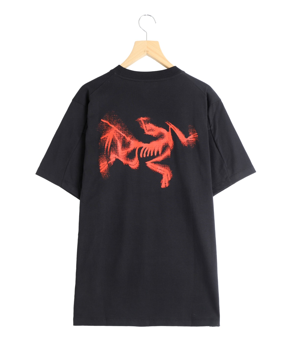 Kragg SL Cotton Blurred Bird SS M | ARC'TERYX(アークテリクス