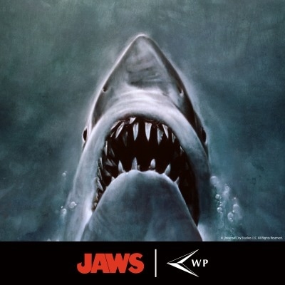 WP｜26ss 1st DELIVERY