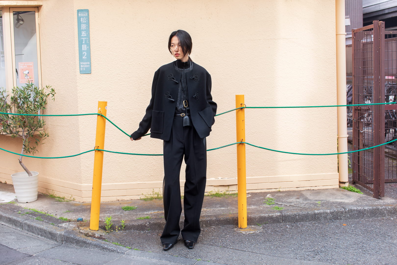 LOOK_img