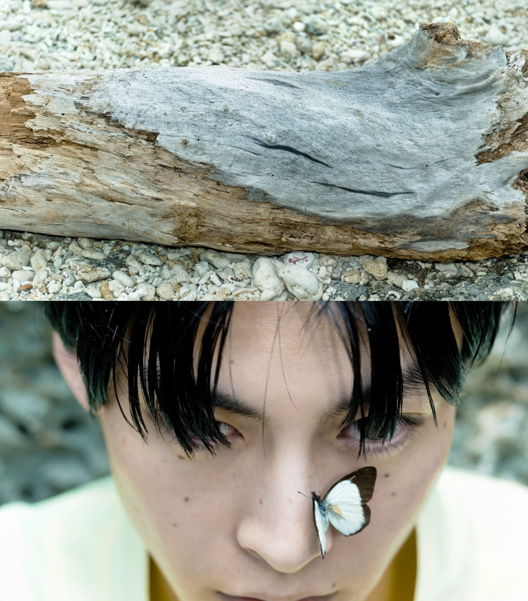 LOOK】san san gear｜2026 SPRING / SUMMER LOOK BOOK - ARKnets 公式通販