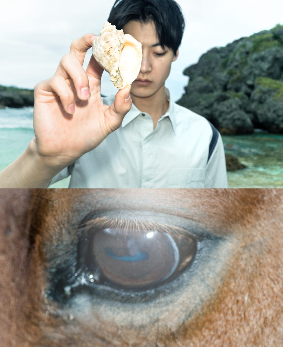LOOK_img